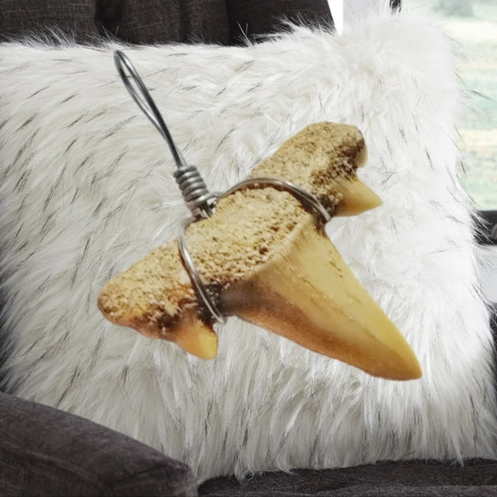 Genuine Fossilized Shark Tooth Pendant. NWOT